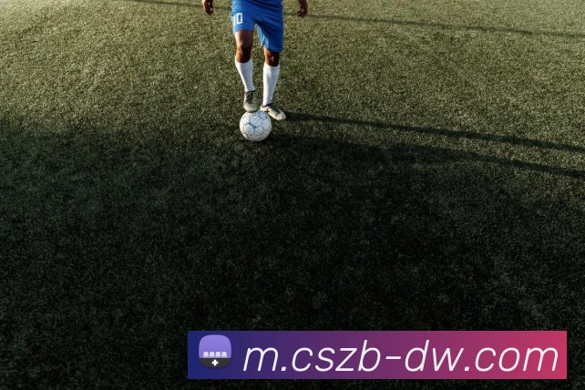 彩神争霸服务体系